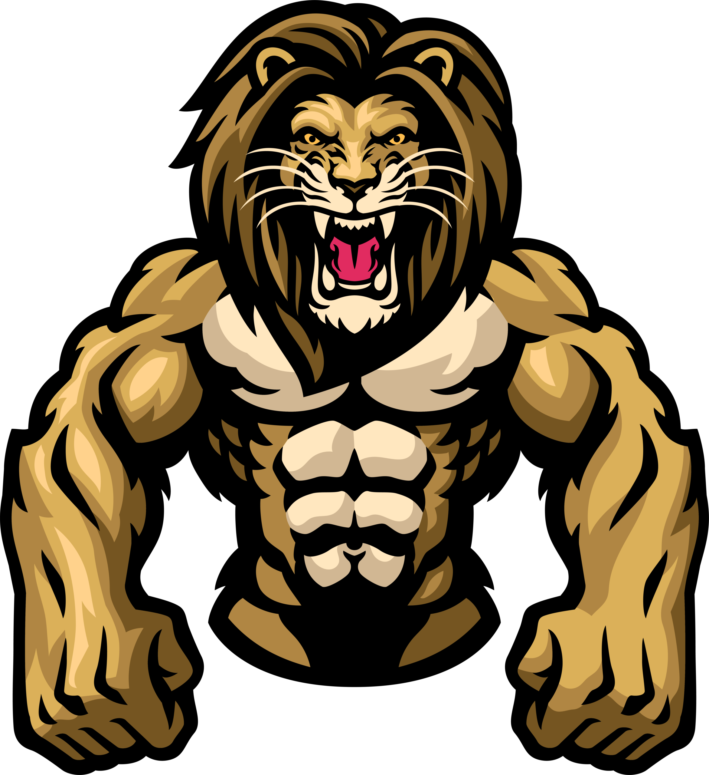 NAMACS GIMNASIO